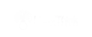 HEadThink